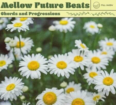 nu.wav Mellow Future Beats Chords and Progressions WAV